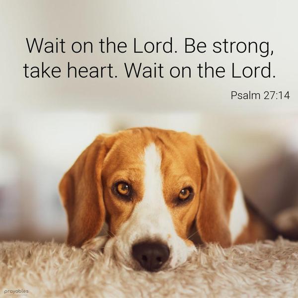 Psalm 27:14 Wait on the Lord. Be strong and take heart. Wait on the Lord.