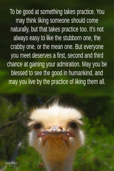 To be good at something takes practice. You may think liking someone should come naturally, but that takes practice too. It’s not always easy to like the stubborn one, the crabby one, or the mean one. But everyone you meet deserves a first, second and third chance at gaining your admiration. May you be blessed
to see the good in humankind, and may you live by the practice of liking them all.