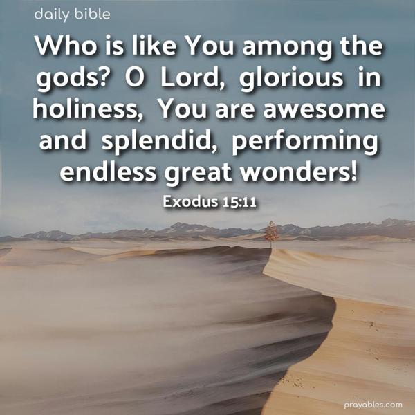 Who is like You among the gods? O Lord, glorious in holiness, You are awesome and splendid, performing endless great wonders! Exodus 15:11