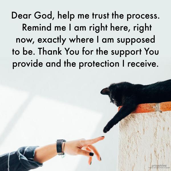 Dear God, help me trust the process. Remind me I am right here, right now, exactly where I am supposed to be. Thank You for the support You provide and the
protection I receive.