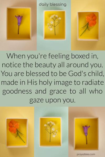 When you're feeling boxed in, notice the beauty all around you. You are blessed to be God's child, made in His holy image to radiate goodness  and  grace  to  all  who gaze upon you.