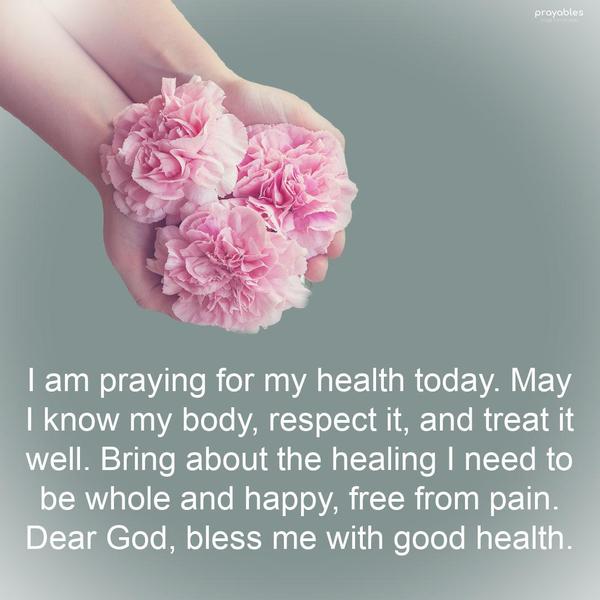 I am praying for my health today. May I know my body, respect it, and treat it well. Bring about the healing I need to be whole and happy, free from pain. Dear God, bless me with good
health.