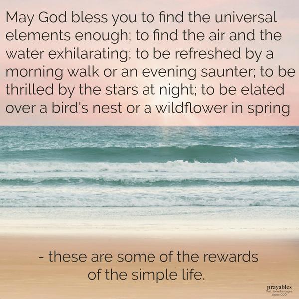 May God bless you to find the universal elements enough; to find the air and the water exhilarating; to be refreshed by a morning walk or an evening saunter; to be thrilled by the stars at night; to be elated over a bird’s nest or a
wildflower in spring – these are some of the rewards of the simple life.