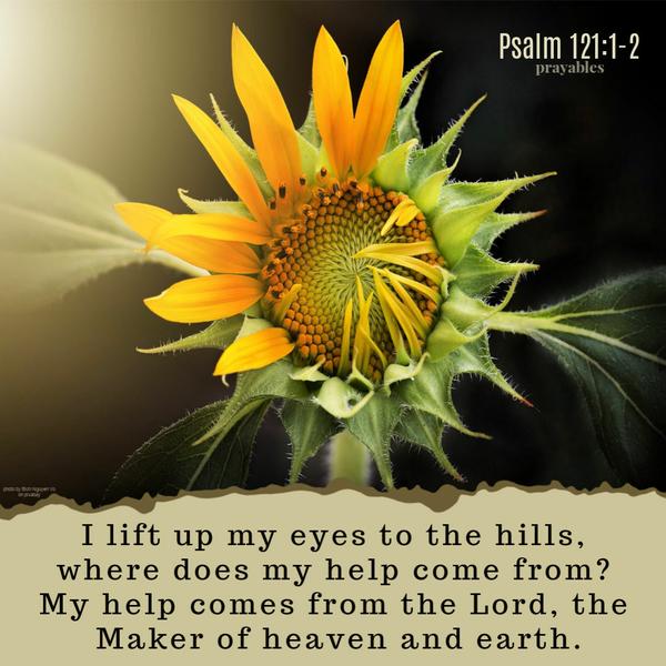 Psalm 121:1-2 I lift up my eyes to the hills, where does my help come from? My help comes from the Lord, the Maker of heaven and earth.