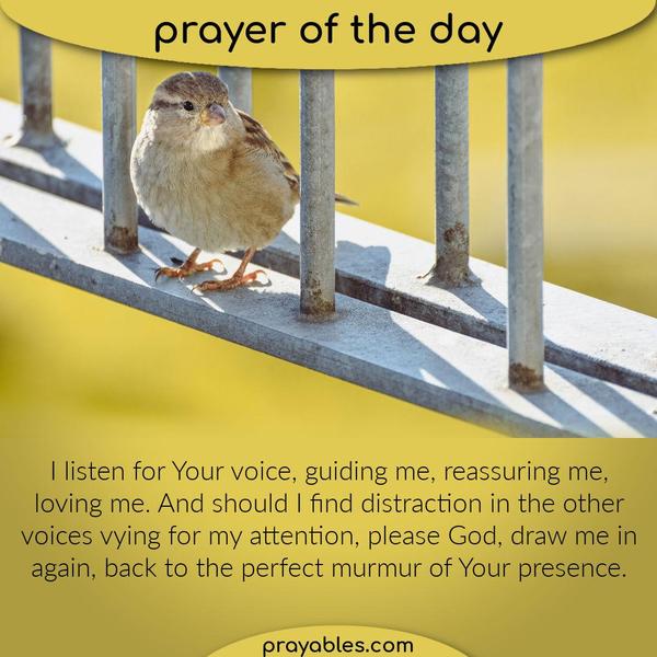 God, I belong to You. I know this best when I am here, sharing this space and time with only You. I unfold here, bringing each part of myself
forward again to be seen by Your familiar eyes and to be held in Your focused affection, with exclusive attention, with specific love, and deliberate commitment.