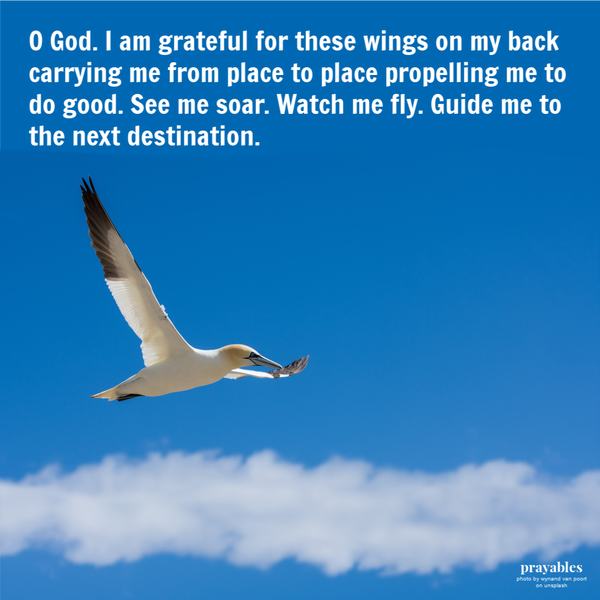 O God. I am grateful for these wings on my back carrying me from place to place propelling me to do good. See me soar. Watch me fly. Guide me to the next destination.