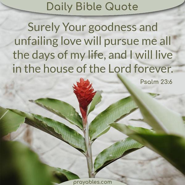 Psalm 23:6 Surely Your goodness and unfailing love will pursue me all the days of my life, and I will live in the house of the Lord forever.