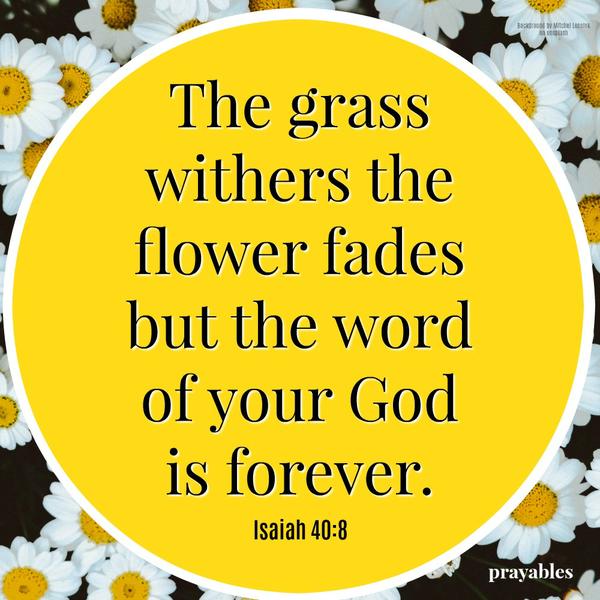 Isaiah 40:8 The grass withers, the flowers fade, but the word of your God is forever.