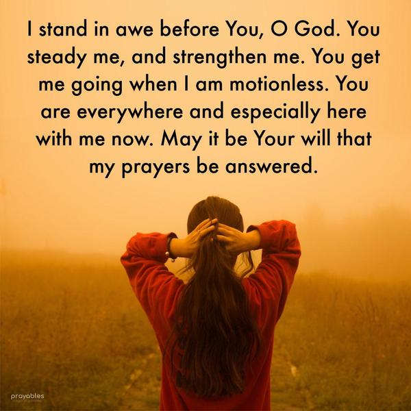 I stand in awe before You, O God. You steady me and strengthen me. You get me going when I am motionless. You are everywhere and especially here with me
now. May it be Your will that my prayers be answered.