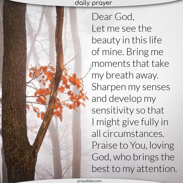 Dear God, Let me see the beauty in this life of mine. Bring me moments that take my breath away. Sharpen my senses and develop my sensitivity so that I might give fully in all circumstances. Praise to You, loving God, who brings the best to my attention.