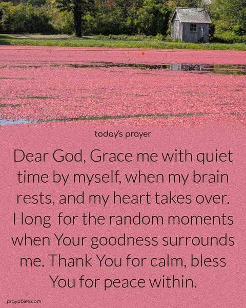 Dear God, Grace me with quiet time by myself, when my brain rests, and my heart takes over. I long for the random moments when Your goodness surrounds me. Thank You for calm, bless You for peace within.