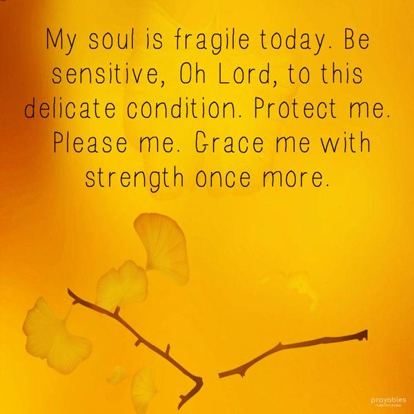 My soul is fragile today. Be sensitive, Oh Lord, to this delicate condition. Protect me. Please me. Grace me with strength once more.