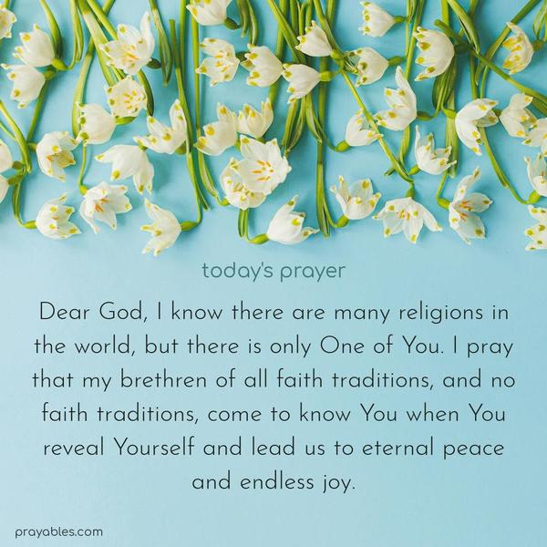 Dear God, I know there are many religions in the world, but there is only One of You. I pray that my brethren of all faith traditions, and no faith traditions, come to know You when You reveal Yourself and lead us to eternal peace and endless joy.