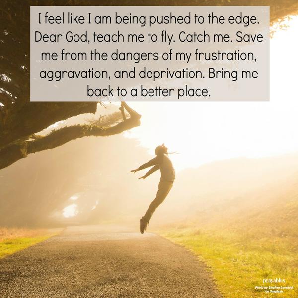 I feel like I am being pushed to the edge. Dear God, teach me to fly. Catch me. Save me from the dangers of my frustration, aggravation, and deprivation. Bring me back, to a better place.