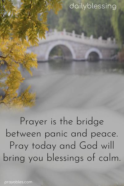 Prayer is the bridge between panic and peace. Pray today, and God will bring you blessings of calm.