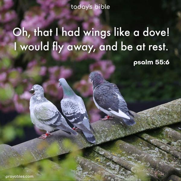 Oh, that I had wings like a dove! I would fly away and be at rest. Psalm 55:6