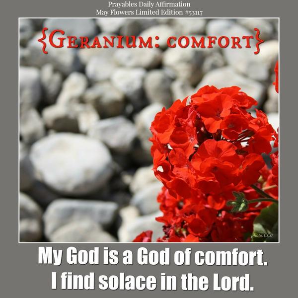 My God is a God of comfort. I find solace in the Lord.