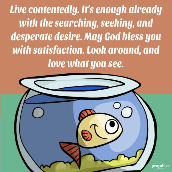 Live contentedly. It’s enough already with the searching, seeking, and desperate desire. May God bless you with satisfaction. Look around, and love what you see.