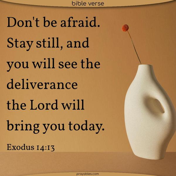 Exodus 14:13 Don't be afraid. Stay still, and you will see the deliverance the Lord will bring you today.