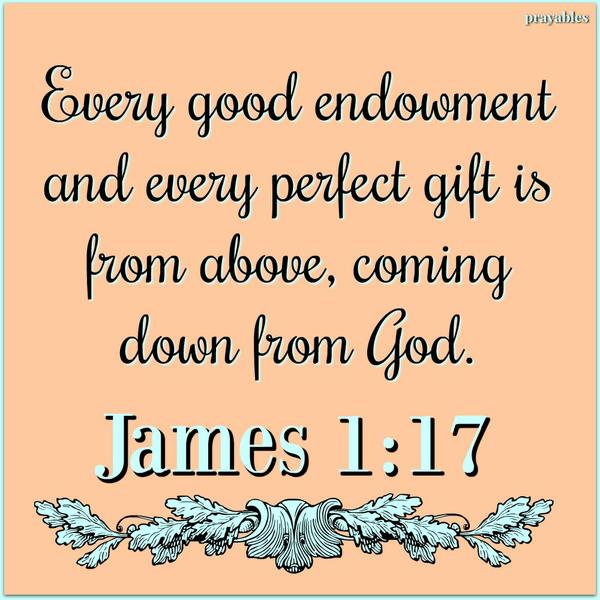 James 1:17 Every good endowment and every perfect gift is from above, coming down from God.