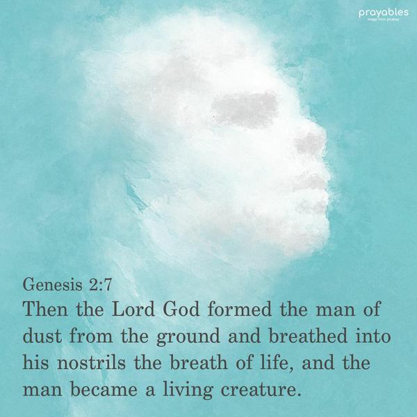 Genesis 2:7 Then the Lord God formed the man of dust from the ground and breathed into his nostrils the breath of life, and the man became a living creature.