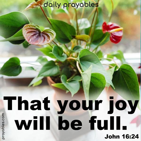 That your joy will be full. John 16:24