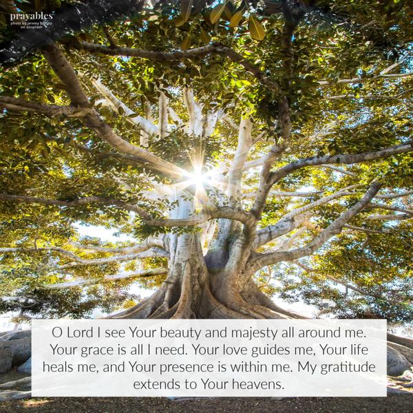 O Lord I see Your beauty and majesty all around me. Your grace is all I need. Your love guides me, Your life heals me, and Your presence is within me. My gratitude extends to
Your heavens.