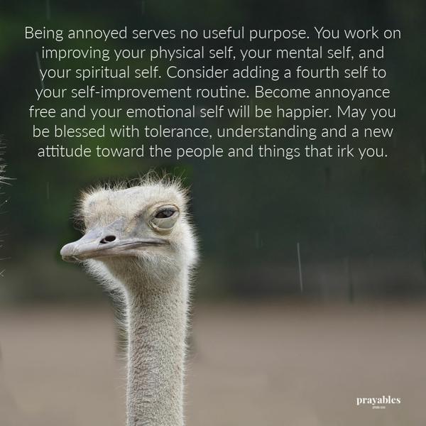 Being annoyed serves no useful purpose. You work on improving your physical self, your mental self, and your spiritual self.
Consider adding a fourth self to your self-improvement routine. Become annoyance free and your emotional self will be happier. May you be blessed with tolerance, understanding and a new attitude toward the people and things that irk you.