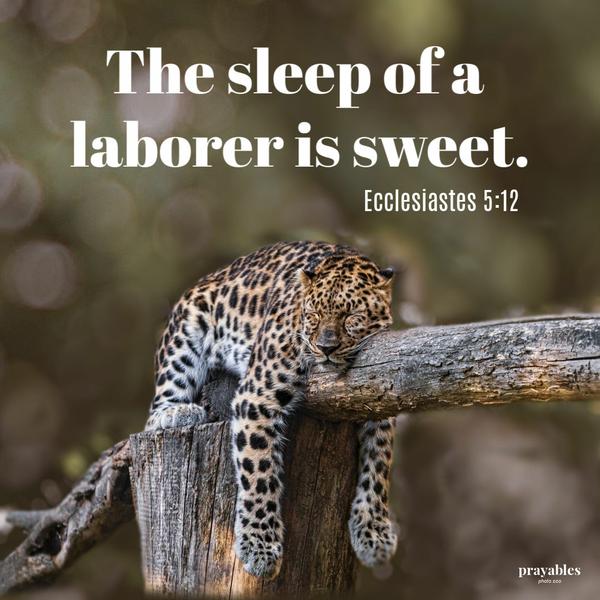 Ecclesiastes 5:12 The sleep of a laborer is sweet.