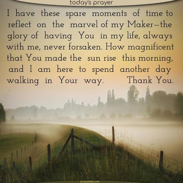 I have these spare moments of time to reflect on the marvel of my Maker—the glory of having You in my life, always with me, never forsaken. How magnificent that You made the sun rise this morning, and I am here to spend another day walking in Your way. Thank You.