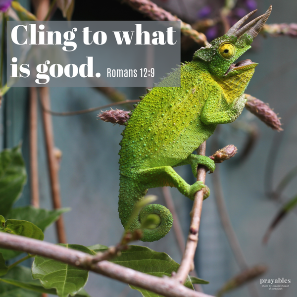 Romans  12:9 Cling to what is good.