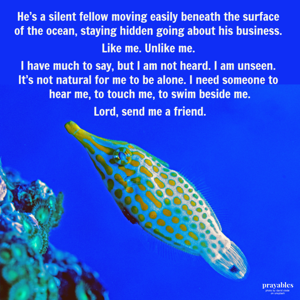 He’s a silent fellow moving easily beneath the surface of the ocean, staying hidden going about his business. Like me. Unlike me. I have much to say, but I am not heard. I am unseen. It’s not natural for me to be alone. I need someone to hear me, to
touch me, to swim beside me. Lord, send me a friend.