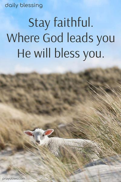 Stay faithful. Where God leads you, He will bless you.