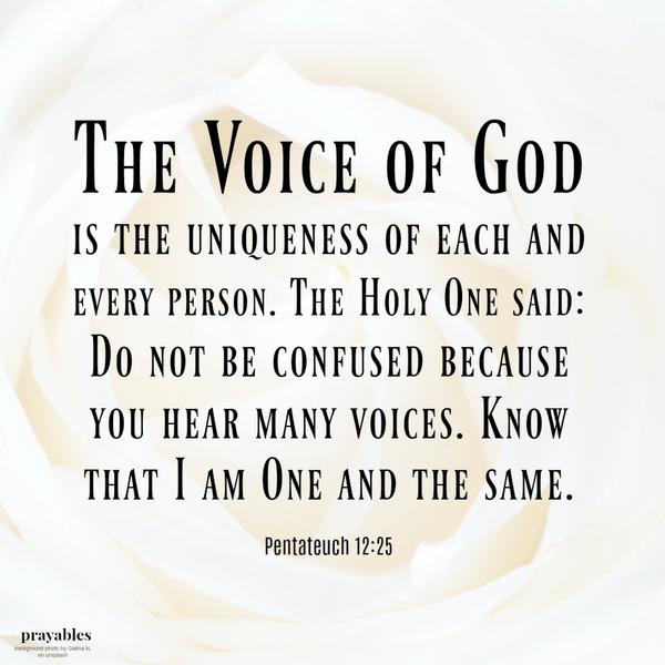 Pentateuch 12:25 The Voice of God is the uniqueness of each and every person. The Holy One said:  Do not be confused because  you hear many voices. Know  that I am One and the same.  