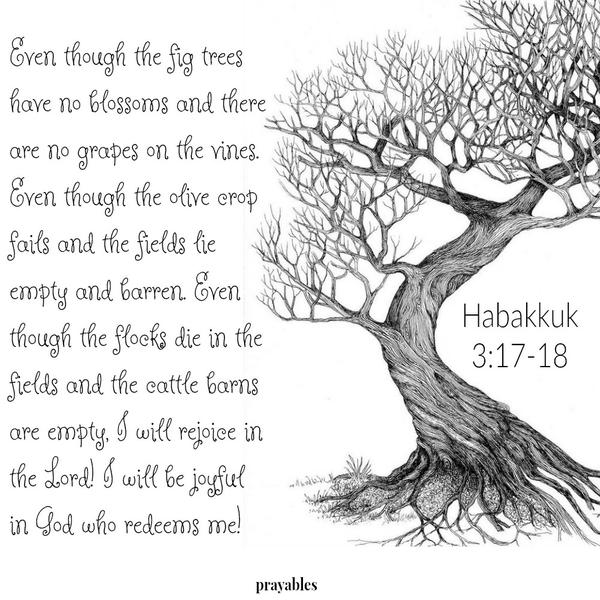 Habakkuk 3:17-18 Even though the fig trees have no blossoms and there are no grapes on the vines. Even though the olive crop fails and the fields lie empty and barren. Even though the flocks die in the fields and the cattle barns
are empty, I will rejoice in the Lord! I will be joyful in God who redeems me!