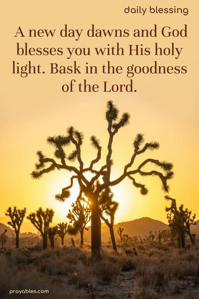 A new day dawns, and God blesses you with His holy light. Bask in the goodness of the Lord.