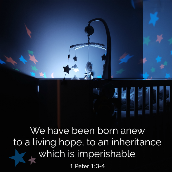  1 Peter 1:3-4 We have been born anew  to a living hope, to an inheritance  which is imperishable. 