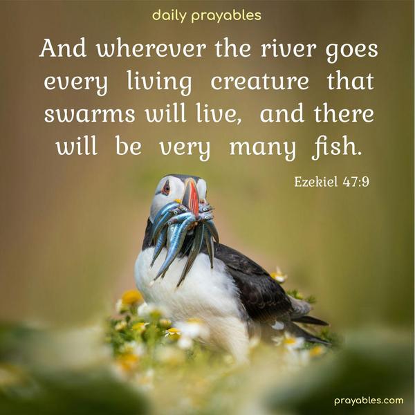 And wherever the river goes, every living creature that swarms will live, and there will be very many fish. Ezekiel 47:9