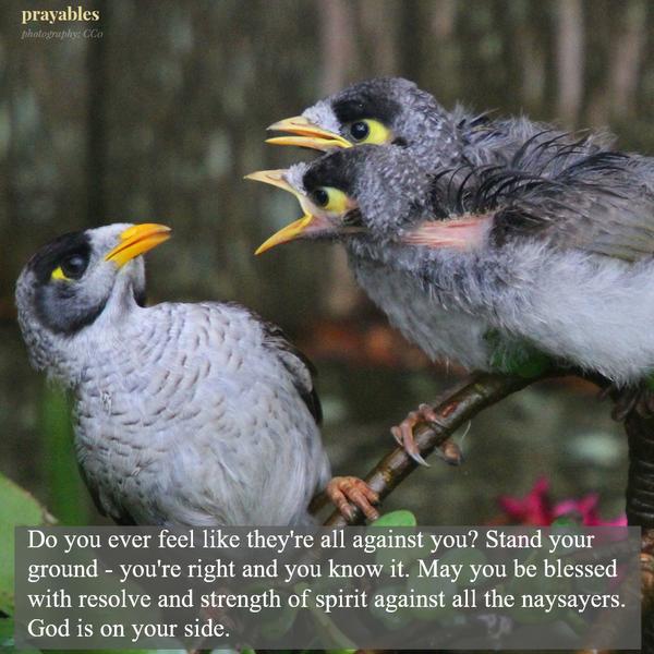 blessed with resolve