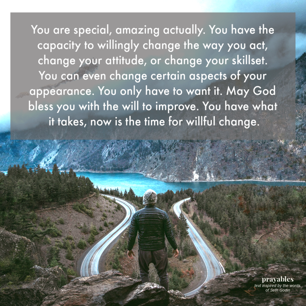 Willful Change You are special, amazing actually. You have the capacity to willingly change the way you act, change your attitude,
or change your skillset. You can even change certain aspects of your appearance. But you have to want it. May God bless you with the will to improve. You have what it takes, now is the time for willful change. inspired by Seth Godin