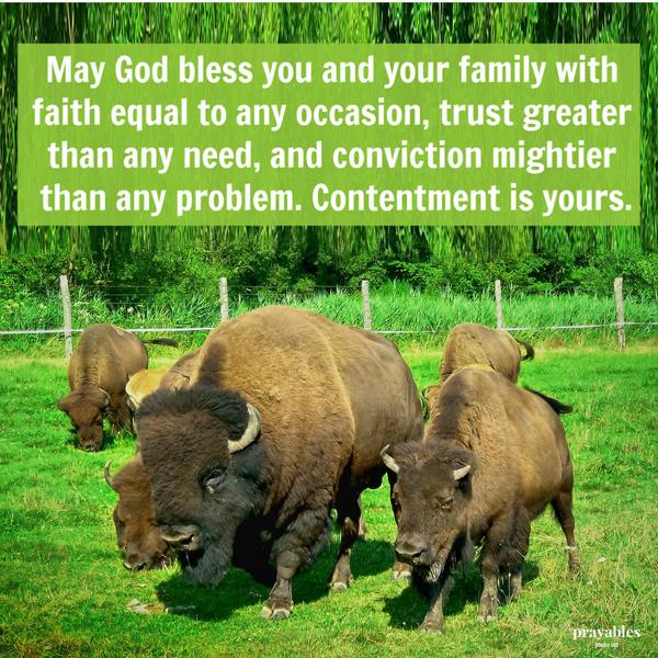 May God bless you and your family with faith equal to any occasion, trust greater than any need, and conviction mightier than any problem. Contentment is yours.