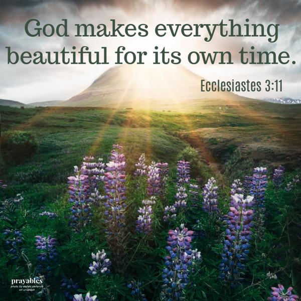 Ecclesiastes 3:11  God makes everything beautiful for its own time.