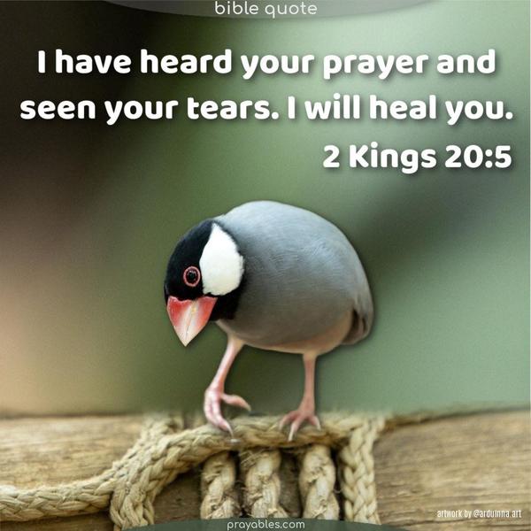 I have heard your prayer and seen your tears. I will heal you. 2 Kings 20:5