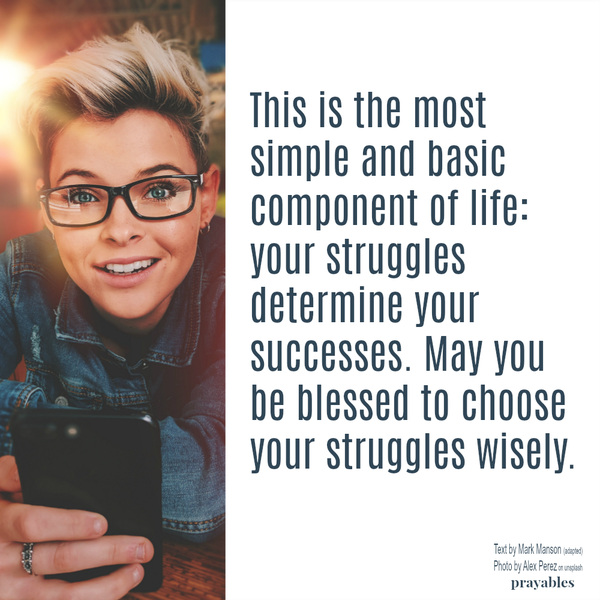 This is the most simple and basic component of life: your struggles determine your successes. May you be blessed to choose your struggles wisely.