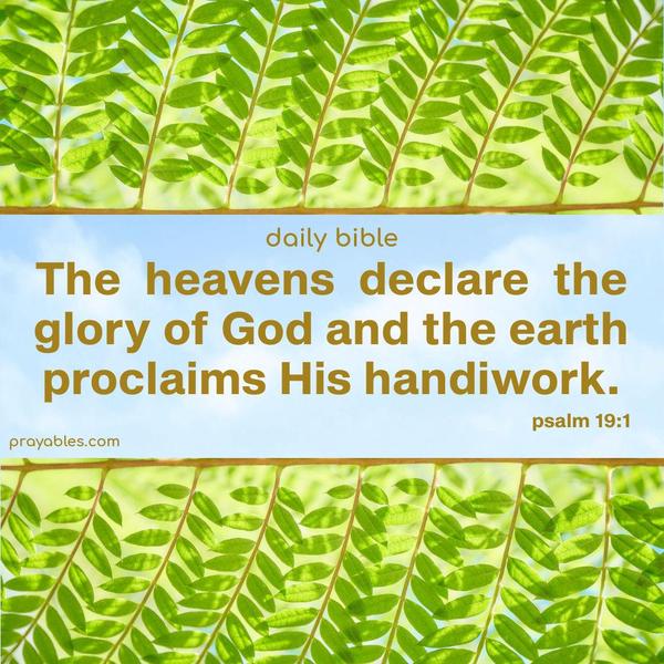 The heavens declare the glory of God, and the earth proclaims His handiwork! psalm 19:1