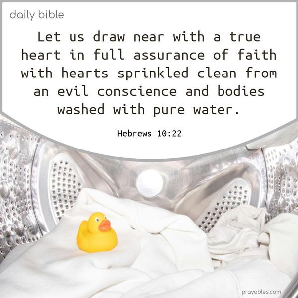 Let us draw near with a true heart in full assurance of faith, with hearts sprinkled clean from an evil conscience and bodies washed with pure water. Hebrews 10:22