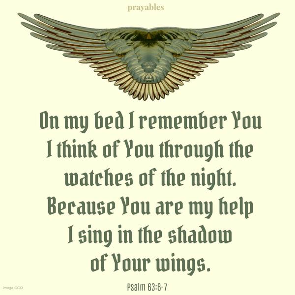 psalm 63:6-7 On my bed I remember You I think of You through the  watches of the night. Because You are my help I sing in the shadow  of Your wings.