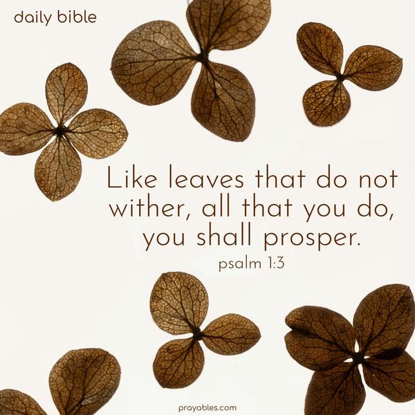 Like leaves that do not wither, all that you do, you shall prosper. Psalm 1:3