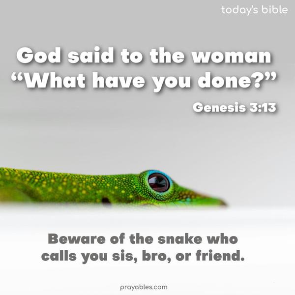 God said to the woman, “What have you done?” Beware of the snake who calls you sis, bro, or friend. Genesis 3:13