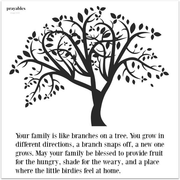 Your family is like branches on a tree. You grow in different directions, a branch snaps off, a new one grows. May your family be blessed to provide fruit for the hungry, shade for the weary, and a place where the little birdies
feel at home.